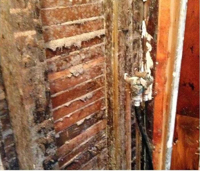 wood with mildew, water damage evident