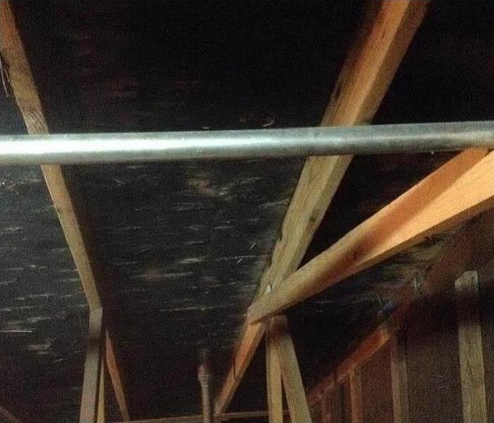 Mold on Attic Ceiling