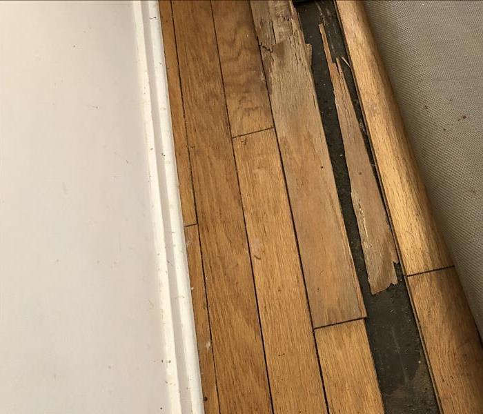 damaged wood flooring