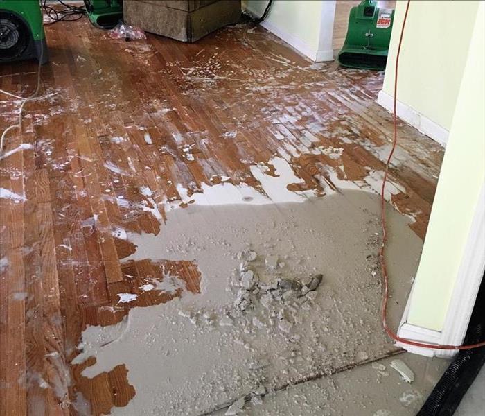 wood floors of a home with water puddled on them